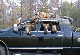 The hunted become the hunters