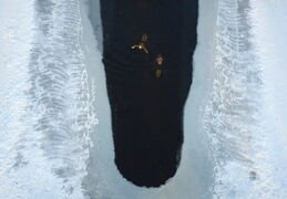 Winter swimmers