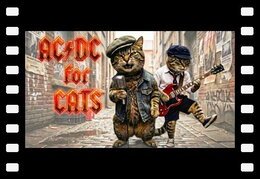 Tabby Thunder - "Adopt Me" | If AC/DC were cats (Official Music Video)